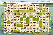 Pet Connect - Online Game - Play for Free